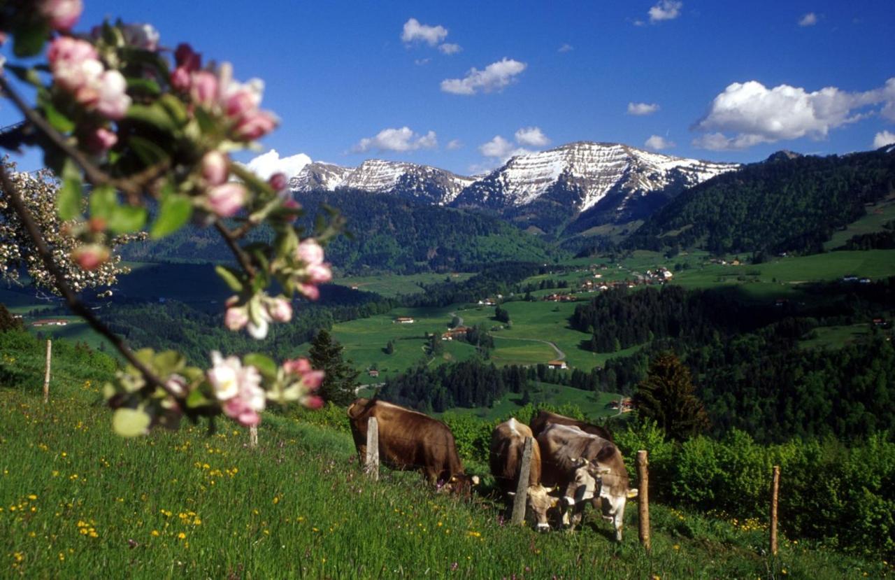 Fewo "Bergparadies",Oberstaufen-Steibis Apartman Kültér fotó