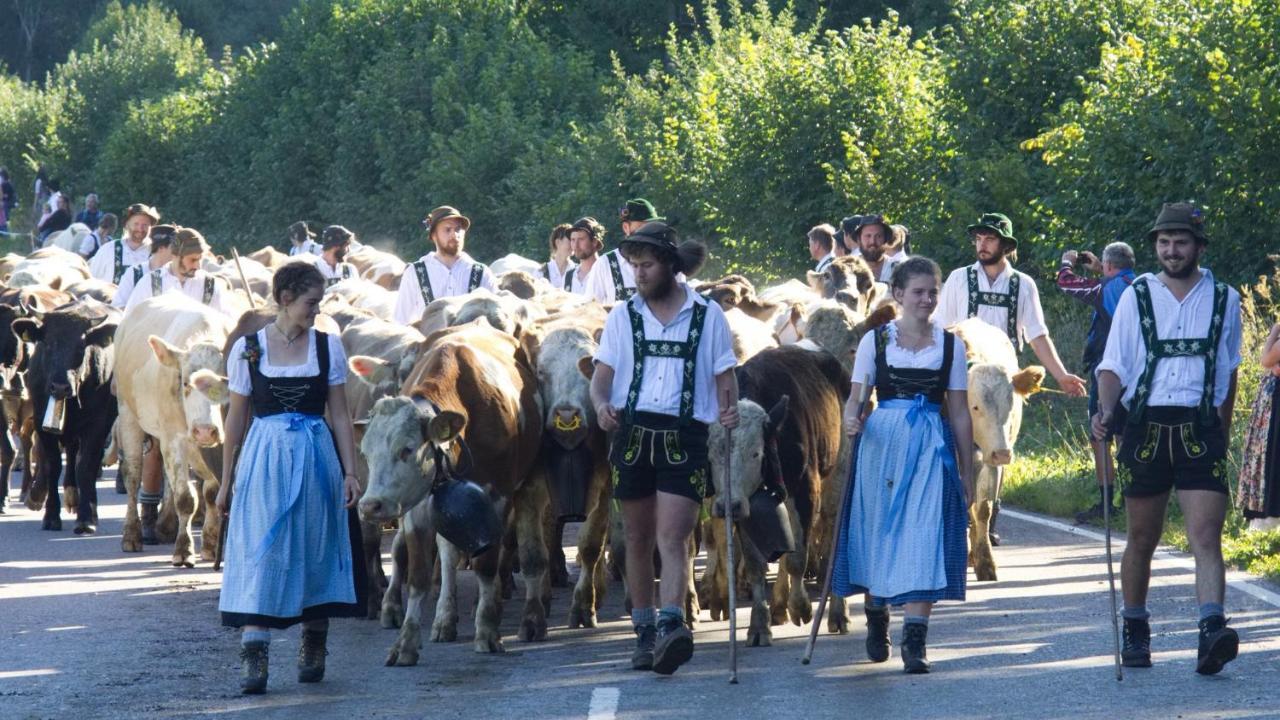 Fewo "Bergparadies",Oberstaufen-Steibis Apartman Kültér fotó