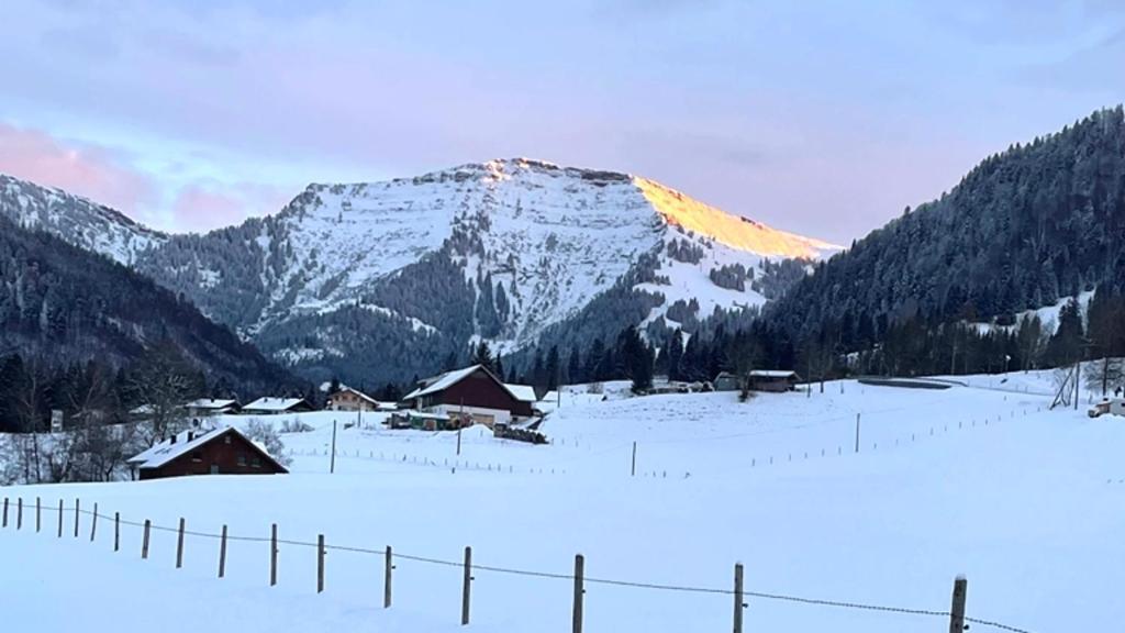 Fewo "Bergparadies",Oberstaufen-Steibis Apartman Kültér fotó